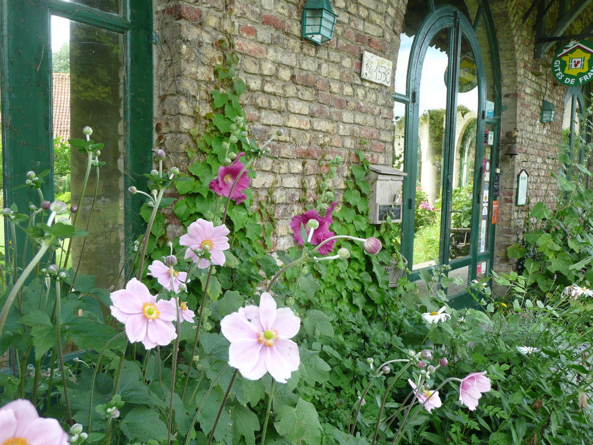 Bed and Breakfast Manoir De Bois En Ardres Экстерьер фото