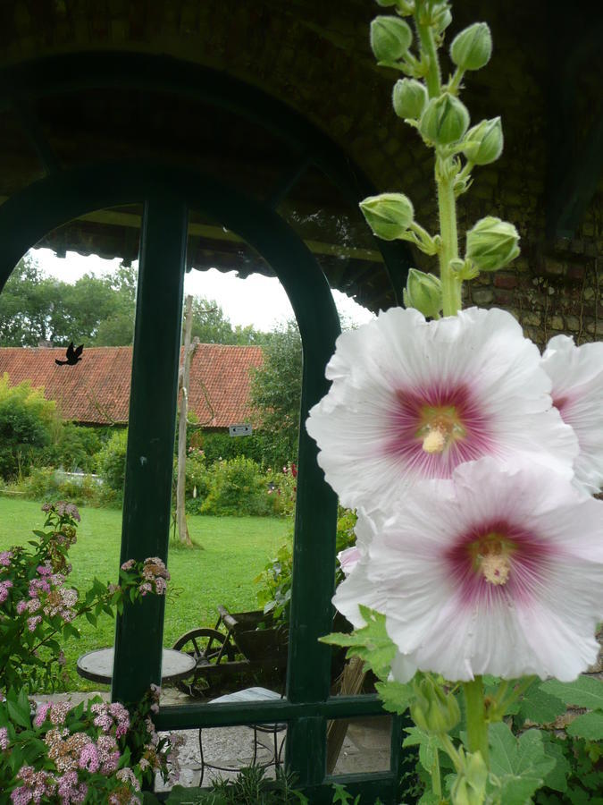 Bed and Breakfast Manoir De Bois En Ardres Экстерьер фото